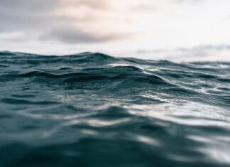 Jaka powinna być przerwa na platynkach?