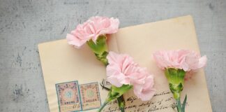 Jakie oznaczenia mają europejskie lampy?