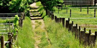 Dlaczego paruje tylna lampa w samochodzie?