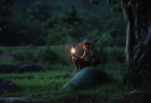 Ile kosztuje tylna lampa do samochodu? Ile kosztuje tylna lampa do samochodu?