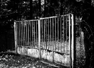 Ile kosztuje założenie odcięcie zapłonu? Ile kosztuje założenie odcięcie zapłonu?